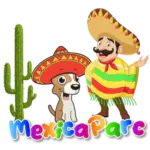 Design sans titre 11